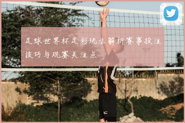 足球世界杯足彩玩法解析赛事投注技巧与观赛关注点