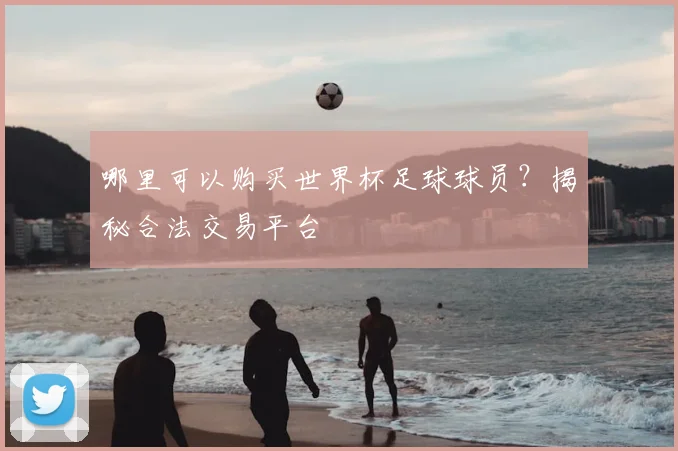 哪里可以购买世界杯足球球员?揭秘合法交易平台