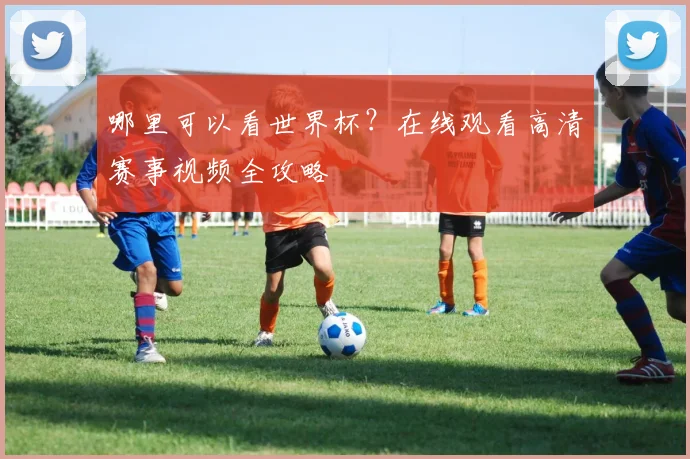 哪里可以看世界杯?在线观看高清赛事视频全攻略
