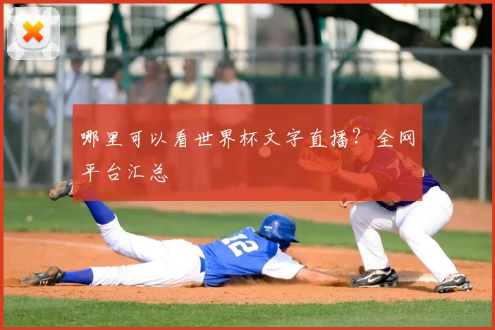 哪里可以看世界杯文字直播?全网平台汇总
